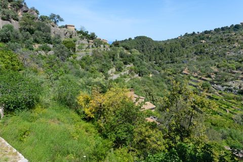 Villa i Deia, Mallorca, Deia - € 975.000 | Ref: 7296 - foto 15