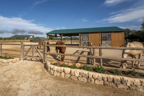 Landejendom i Llucmajor, Mallorca, Llucmajor - € 6.300.000 | Ref: 6855 - foto 4
