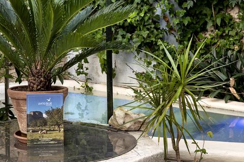 Villa en Caimari, Mallorca, Caimari - € 850.000 | Ref: 6916 - photo 29
