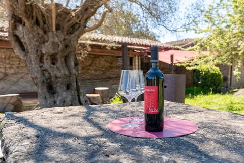 Herregård i Pollenca, Mallorca, Pollenca - € 7 650 000 | Ref: 7107 - foto 4