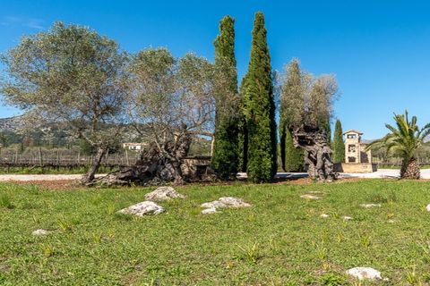 Herregård i Pollenca, Mallorca, Pollenca - € 7 650 000 | Ref: 7107 - foto 5