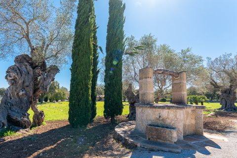 Herregård i Pollenca, Mallorca, Pollenca - € 7 650 000 | Ref: 7107 - foto 6