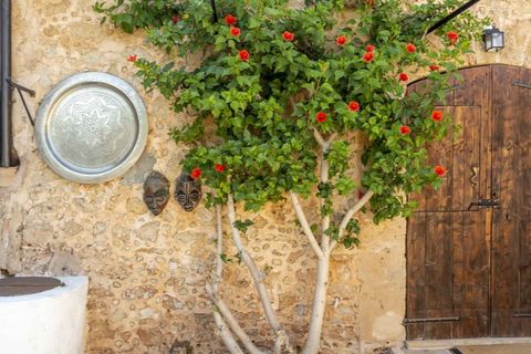 Landejendom i Alaro, Mallorca, Alaro - € 3.600.000 | Ref: 7267 - foto 4