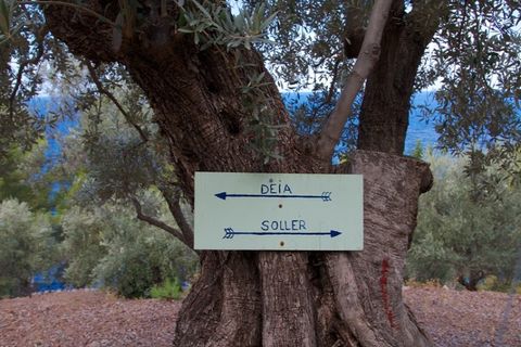 Landejendom i Soller, Mallorca, Soller - € 5.700.000 | Ref: 6687 - foto 14