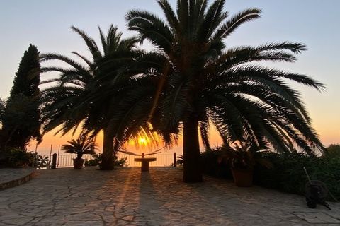 Landejendom i Soller, Mallorca, Soller - € 5.700.000 | Ref: 6687 - foto 17