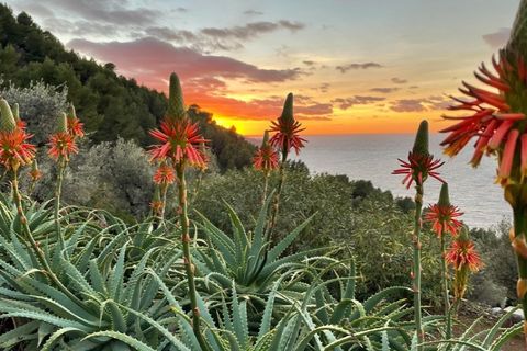 Landejendom i Soller, Mallorca, Soller - € 5.700.000 | Ref: 6687 - foto 19