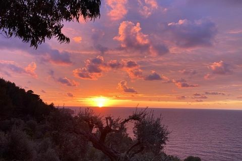 Landejendom i Soller, Mallorca, Soller - € 5.700.000 | Ref: 6687 - foto 22