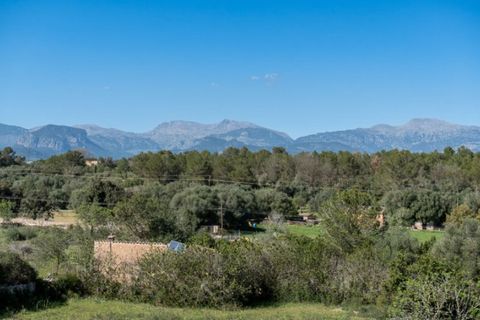 Landejendom i Sencelles, Mallorca, Sencelles - € 750.000 | Ref: 7207 - foto 8