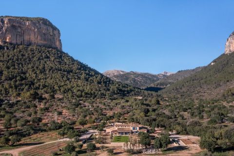 Landejendom i Alaro, Mallorca, Alaro - € 8.400.000 | Ref: 7203 - foto 20