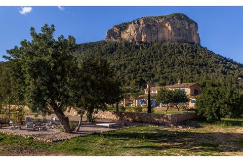 Landejendom i Alaro, Mallorca, Alaro - € 8.400.000 | Ref: 7203 - foto 21