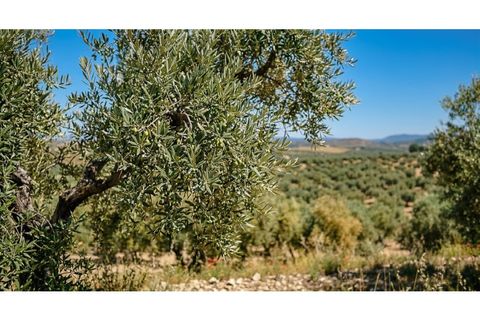 Villa a Sineu, Mallorca, Sineu - € 1.400.000 | Ref: 7173 - foto 2