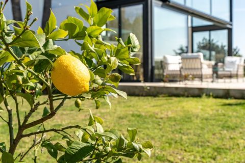 Villa a Bunyola, Mallorca, Bunyola - € 2.650.000 | Ref: 7162 - foto 17