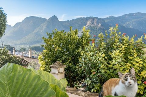 Landejendom i Alaro, Mallorca, Alaro - € 5.500.000 | Ref: 7154 - foto 2