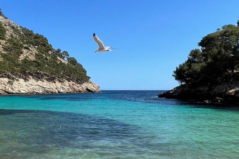 Villa a Sa Torre, Mallorca, Sa Torre - € 2.690.000 | Ref: 7105 - foto 2