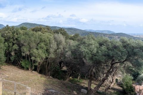 Lejlighed i Campanet, Mallorca, Campanet - € 585.000 | Ref: 7102 - foto 13