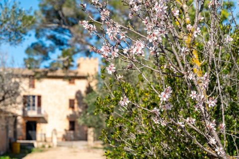 Landejendom i Establiments, Mallorca, Establiments - € 3.900.000 | Ref: 7073 - foto 2