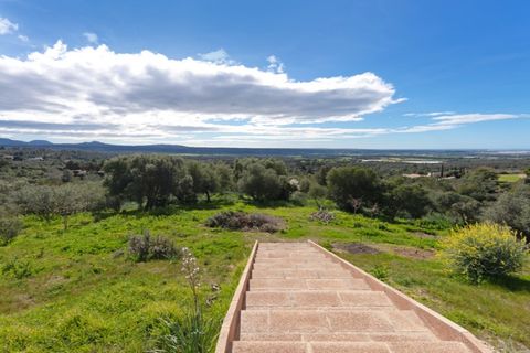 Landejendom i Puntiro, Mallorca, Puntiro - € 1.995.000 | Ref: 7069 - foto 20