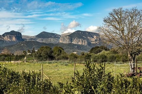 Landejendom i Sencelles, Mallorca, Sencelles - € 1.550.000 | Ref: 7042 - foto 4
