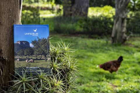 Landejendom i Sencelles, Mallorca, Sencelles - € 1.550.000 | Ref: 7042 - foto 24