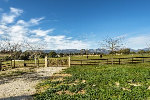 Landejendom i Sencelles, Mallorca, Sencelles - € 1.550.000 | Ref: 7042 - foto 25