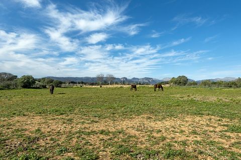 Landejendom i Sencelles, Mallorca, Sencelles - € 1.550.000 | Ref: 7042 - foto 26
