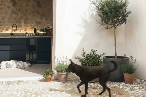 Villa i Sencelles, Mallorca, Sencelles - € 1.638.000 | Ref: 7038 - foto 2