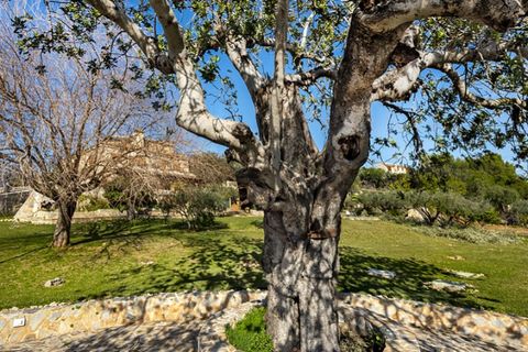 Landejendom i Inca, Mallorca, Inca - € 3.950.000 | Ref: 7032 - foto 5