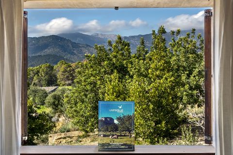 Landejendom i Inca, Mallorca, Inca - € 3.950.000 | Ref: 7032 - foto 20
