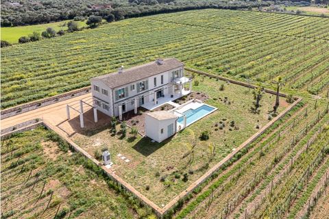 Landejendom i Binissalem, Mallorca, Binissalem - € 3.550.000 | Ref: 7025 - foto 3