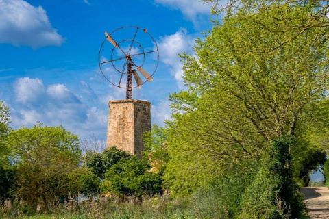 Landejendom i Binissalem, Mallorca, Binissalem - € 3.550.000 | Ref: 7025 - foto 4