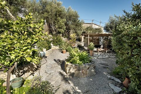 Villa i Mancor De La Vall, Mallorca, Mancor De La Vall - € 1.370.000 | Ref: 7012 - foto 22