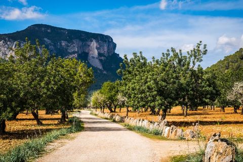 Landejendom i Alaro, Mallorca, Alaro - € 4.950.000 | Ref: 6918 - foto 2