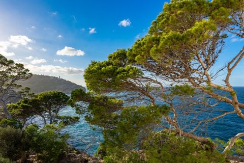 Lejlighed i Soller, Mallorca, Soller - € 1.100.000 | Ref: 6888 - foto 2