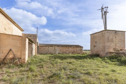 Landejendom i Campos, Mallorca, Campos - € 750.000 | Ref: 6871 - foto 7