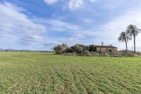 Landejendom i Campos, Mallorca, Campos - € 750.000 | Ref: 6871 - foto 8