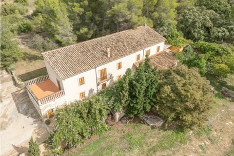 Landejendom i Establiments, Mallorca, Establiments - € 2.200.000 | Ref: 6857 - foto 19