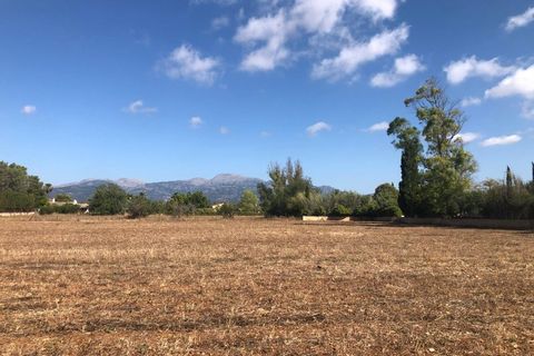 Terra a Inca, Mallorca, Inca - € 690.000 | Ref: 6845 - foto 2