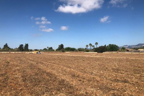 Terra a Inca, Mallorca, Inca - € 690.000 | Ref: 6845 - foto 3
