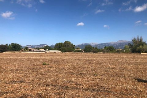 Terra a Inca, Mallorca, Inca - € 690.000 | Ref: 6845 - foto 4