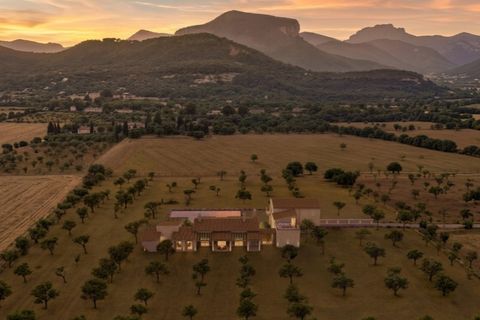 Grond in Binissalem, Mallorca, Binissalem - € 1.250.000 | Ref: 6817 - foto 2
