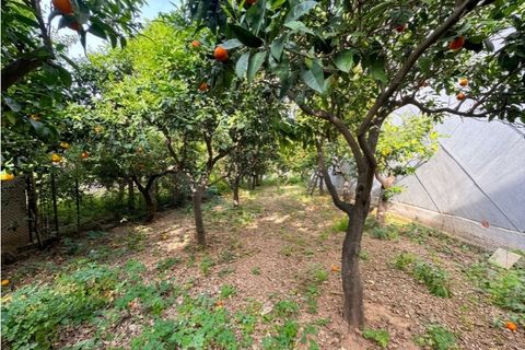 Villa in Soller, Mallorca, Soller - € 795.000 | Ref: 6779 - foto 17