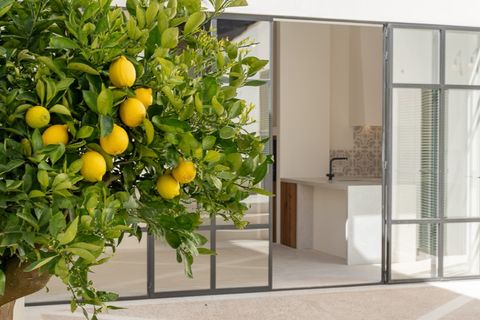 Villa a Sencelles, Mallorca, Sencelles - € 4.200.000 | Ref: 6778 - foto 2