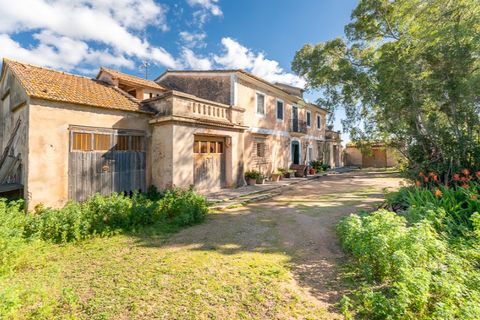 Landejendom i Establiments, Mallorca, Establiments - € 2.750.000 | Ref: 6777 - foto 3