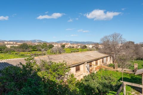 Landejendom i Establiments, Mallorca, Establiments - € 2.750.000 | Ref: 6777 - foto 19
