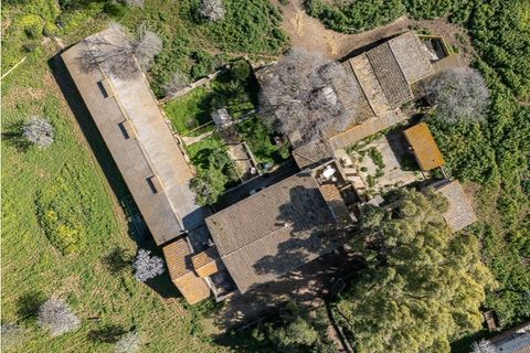 Landejendom i Establiments, Mallorca, Establiments - € 2.750.000 | Ref: 6777 - foto 21