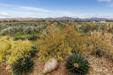 Landejendom i Sencelles, Mallorca, Sencelles - € 3.293.000 | Ref: 6701 - foto 15