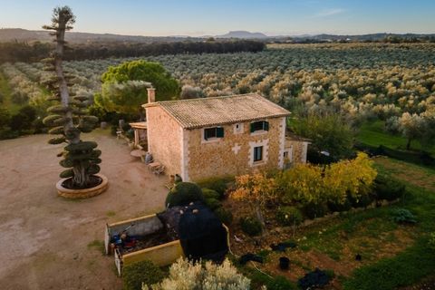 Landejendom i Sencelles, Mallorca, Sencelles - € 3.293.000 | Ref: 6701 - foto 18