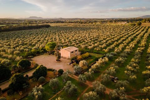 Landejendom i Sencelles, Mallorca, Sencelles - € 3.293.000 | Ref: 6701 - foto 22