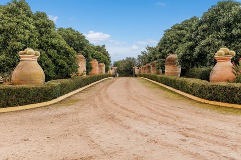 Landejendom i Sencelles, Mallorca, Sencelles - € 3.293.000 | Ref: 6701 - foto 25