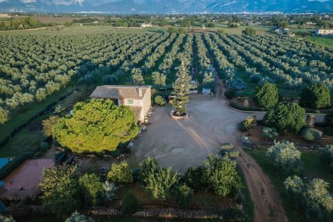 Landejendom i Sencelles, Mallorca, Sencelles - € 3.293.000 | Ref: 6701 - foto 26